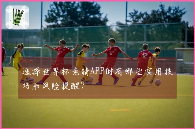 选择世界杯竞猜APP时有哪些实用技巧和风险提醒？