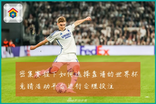 密集赛程下如何选择靠谱的世界杯竞猜活动平台进行合理投注
