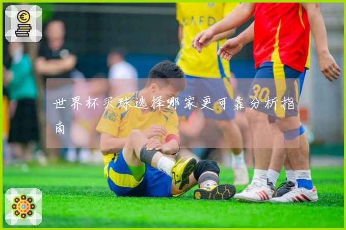世界杯买球选择哪家更可靠分析指南