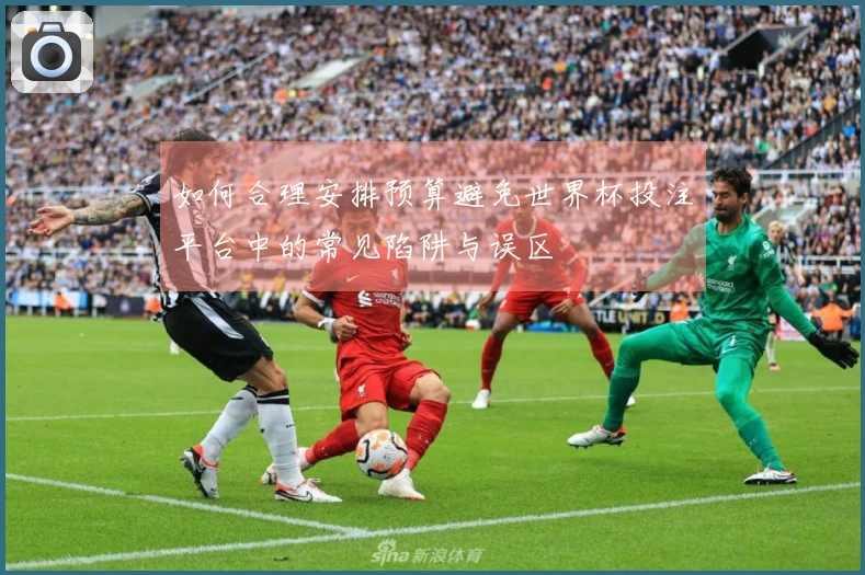 如何合理安排预算避免世界杯投注平台中的常见陷阱与误区
