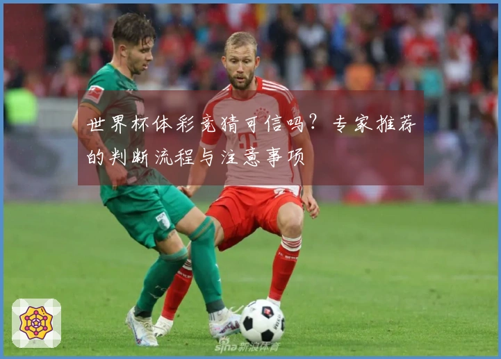 世界杯体彩竞猜可信吗？专家推荐的判断流程与注意事项