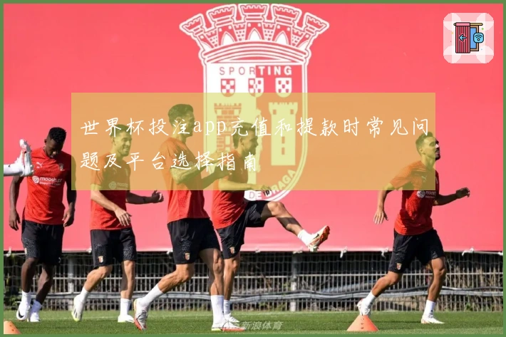 世界杯投注app充值和提款时常见问题及平台选择指南