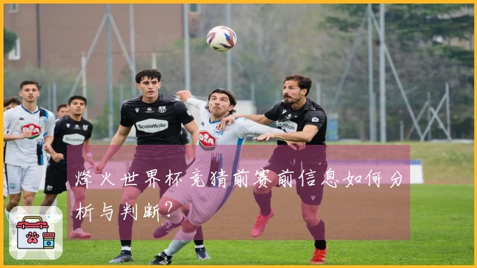 烽火世界杯竞猜前赛前信息如何分析与判断？