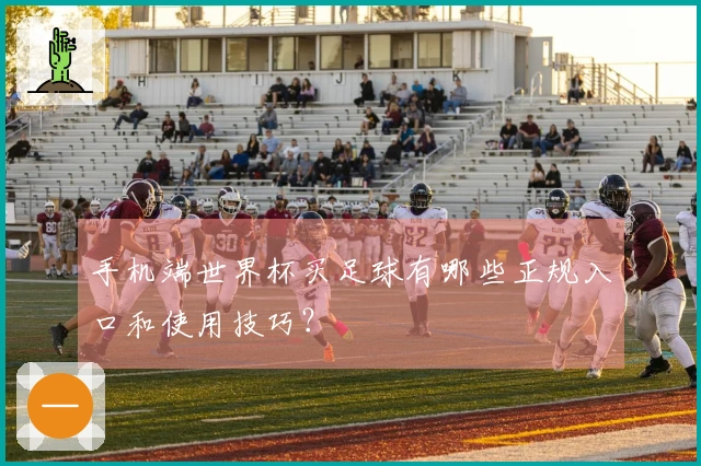 手机端世界杯买足球有哪些正规入口和使用技巧？