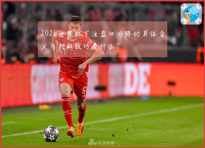 2026世界杯下注盘口升降的具体含义与判断技巧是什么？