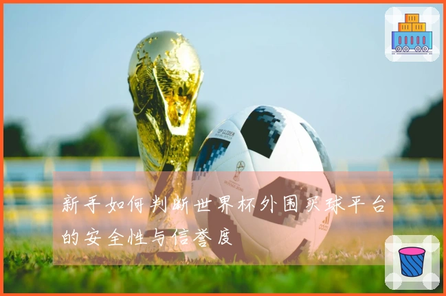 新手如何判断世界杯外围买球平台的安全性与信誉度