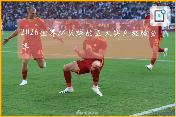 2026世界杯买球的五大实用经验分享