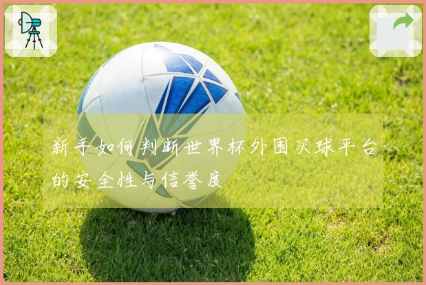 新手如何判断世界杯外围买球平台的安全性与信誉度