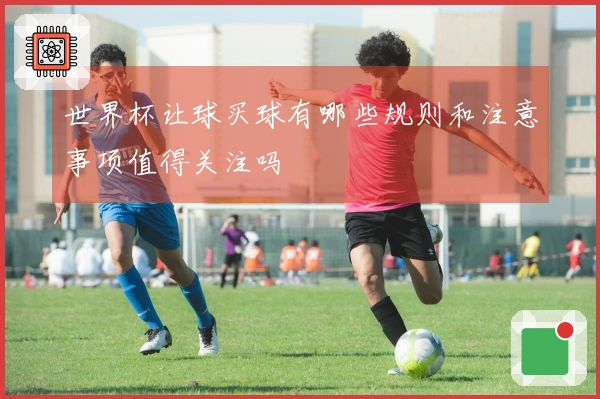 世界杯让球买球有哪些规则和注意事项值得关注吗