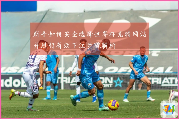 新手如何安全选择世界杯竞猜网站并进行有效下注步骤解析