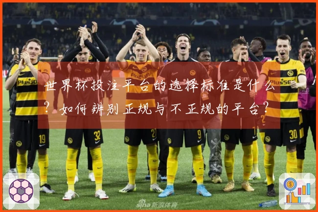 世界杯投注平台的选择标准是什么？如何辨别正规与不正规的平台？