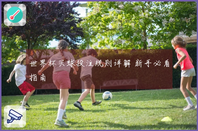 世界杯买球投注规则详解 新手必看指南