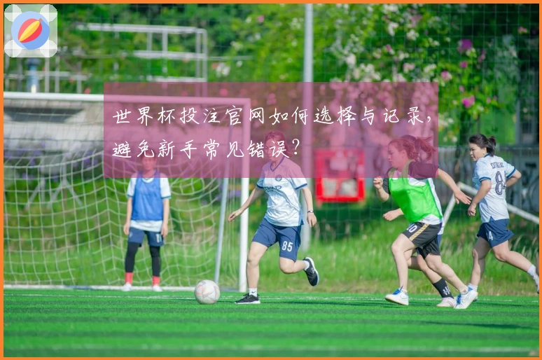 世界杯投注官网如何选择与记录，避免新手常见错误？