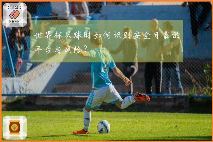 世界杯买球时如何识别安全可靠的平台与风险？