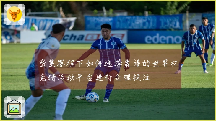 密集赛程下如何选择靠谱的世界杯竞猜活动平台进行合理投注