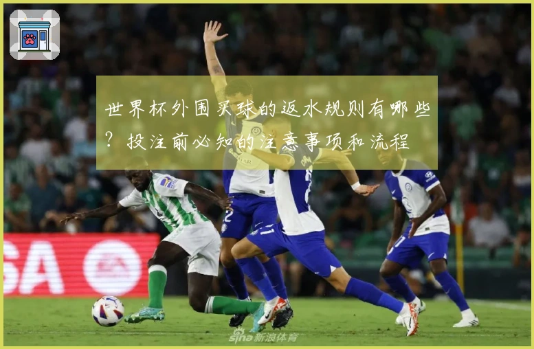 世界杯外围买球的返水规则有哪些？投注前必知的注意事项和流程