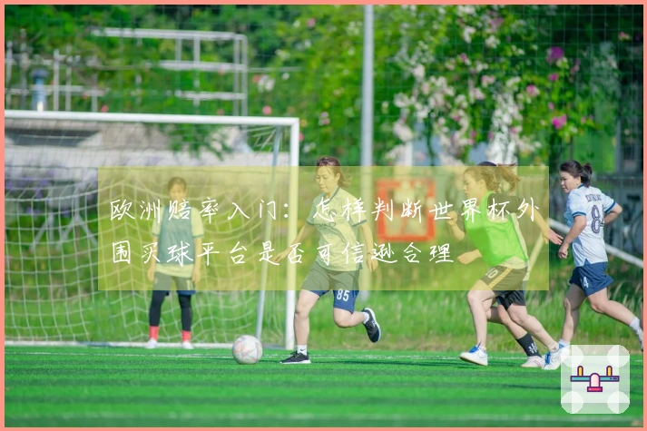 欧洲赔率入门：怎样判断世界杯外围买球平台是否可信逊合理